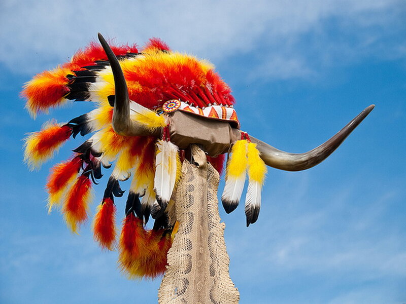 Feathered Headdress with Horns