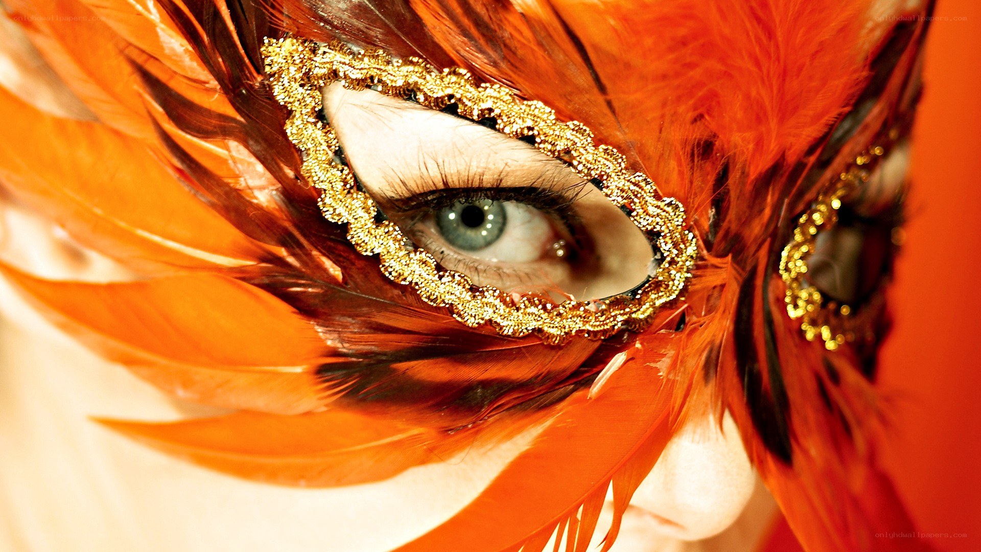 feathered mask with blue eye
