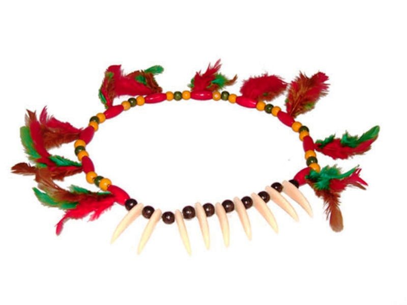 Feathered Necklace with Teeth