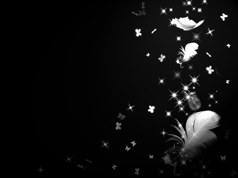 Feathers and Butterflies