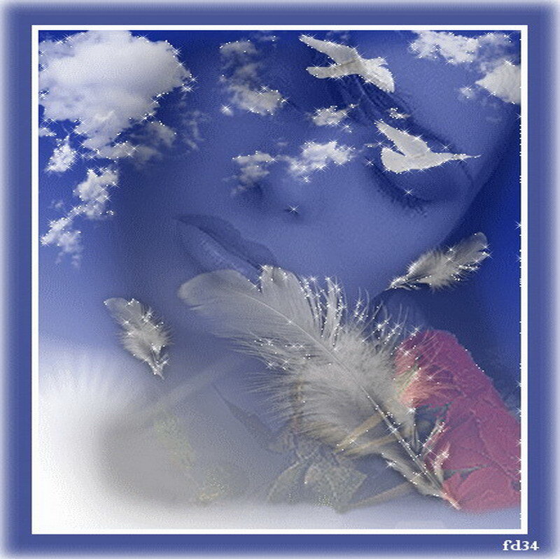 feathers and doves in blue sky