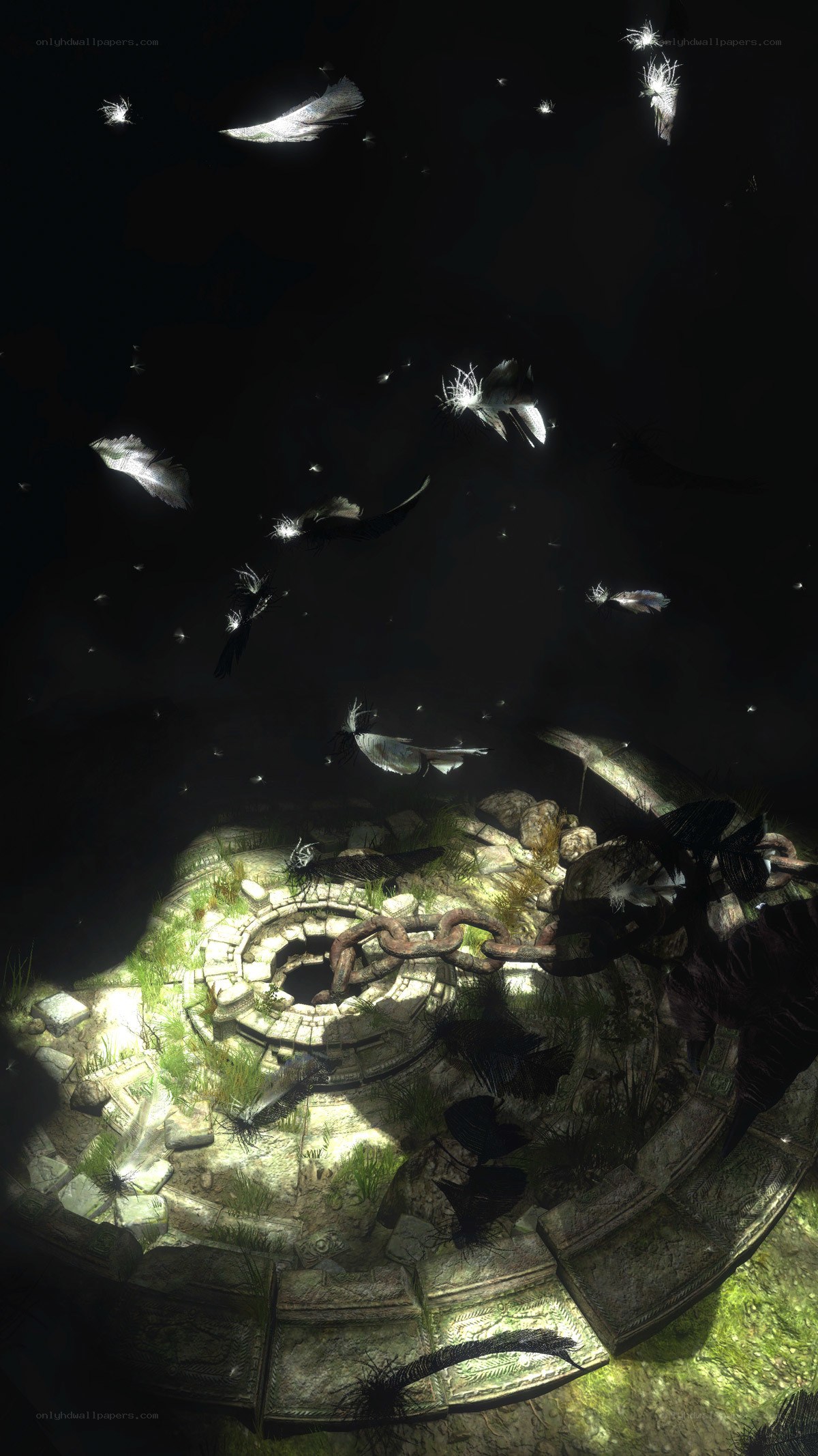 Feathers falling in a dark ruin