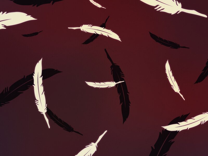 feathers falling on red