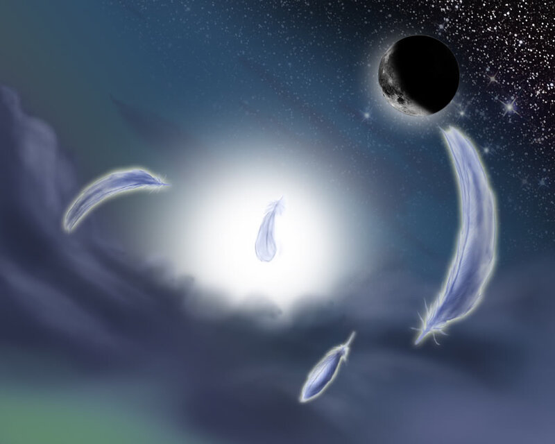 Feathers Floating in Night Sky — Blue