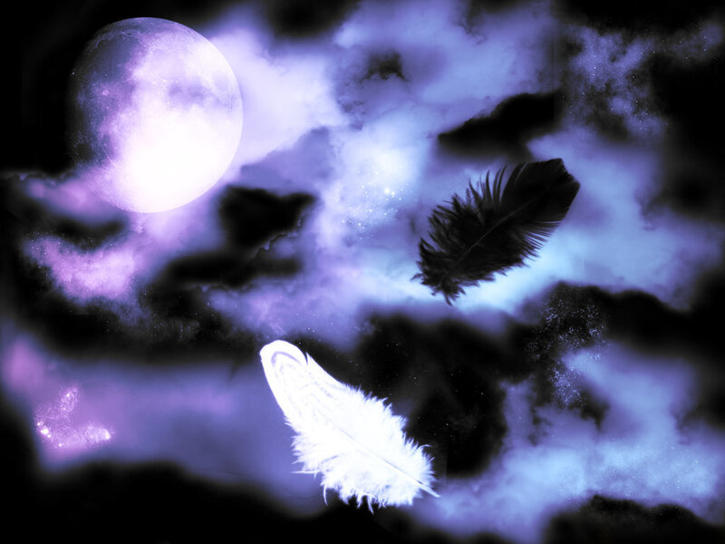Feathers Floating in Night Sky