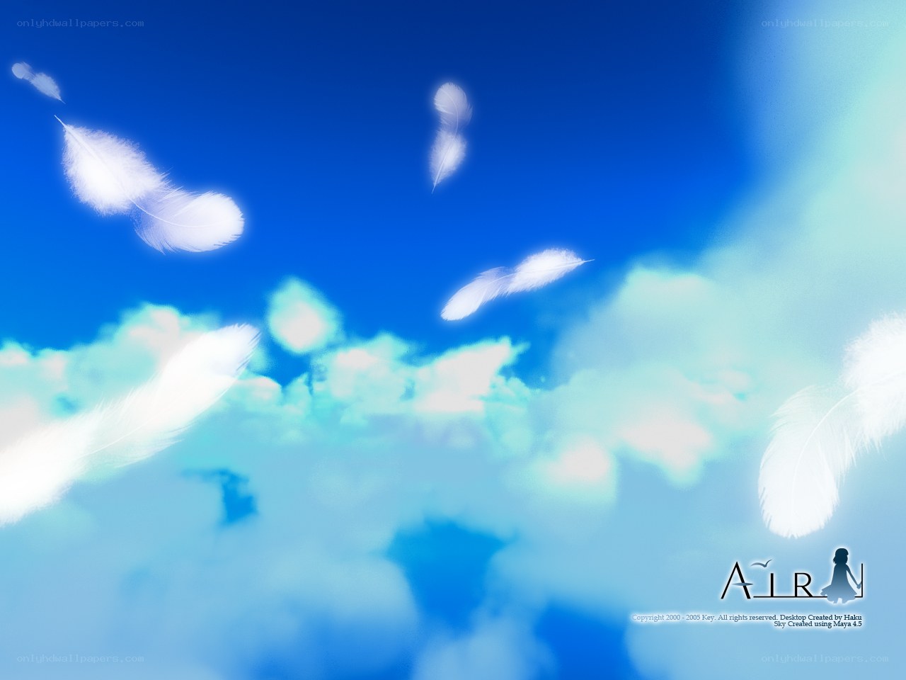 Feathers floating in the sky