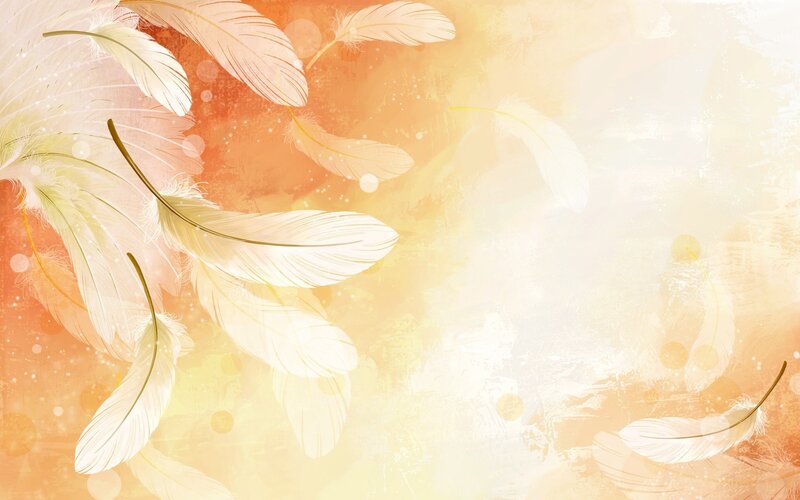 feathers floating in warm light