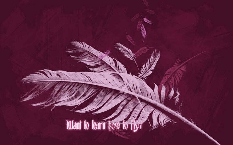 Feathers on Dark Background