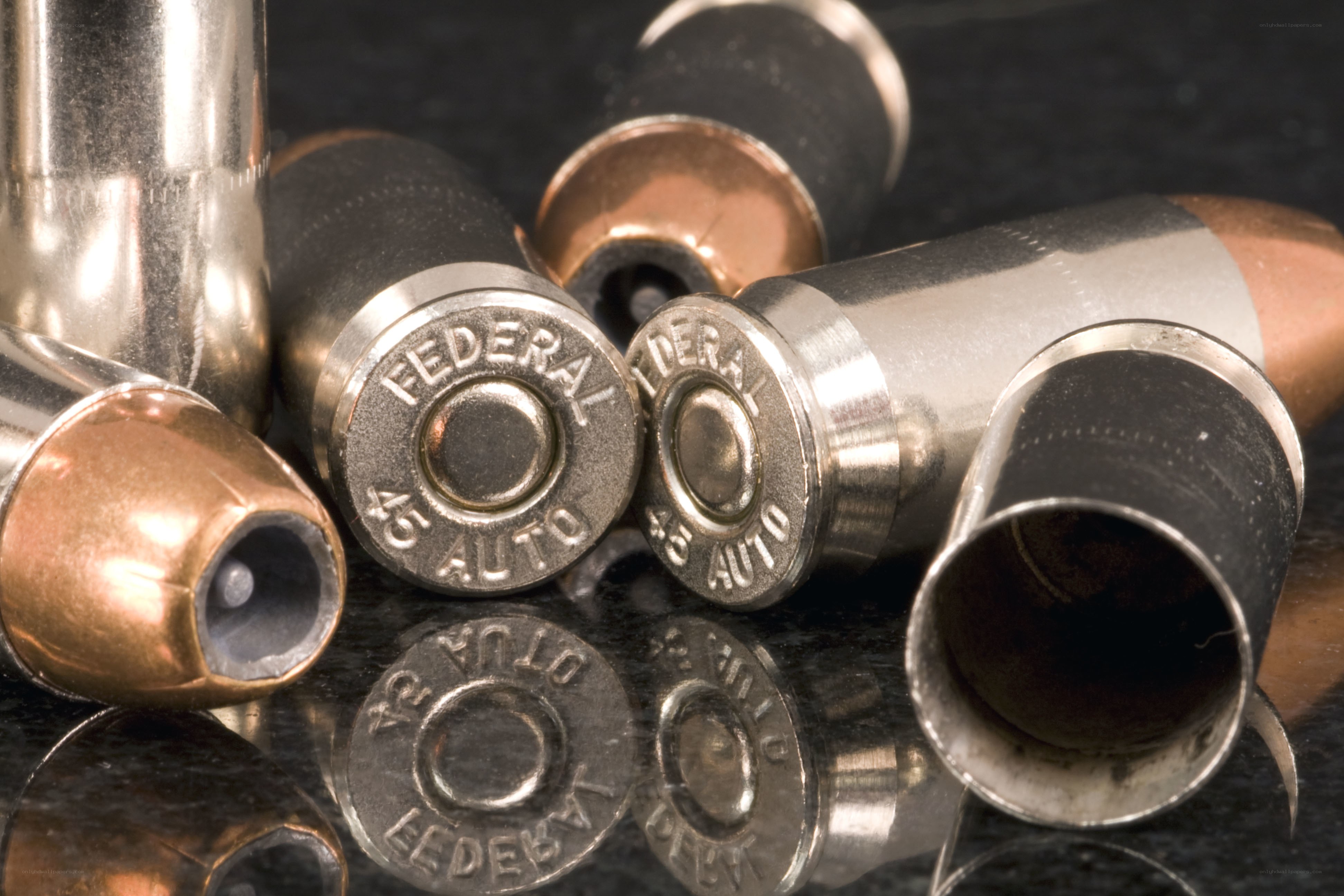 Federal .45 ACP ammunition