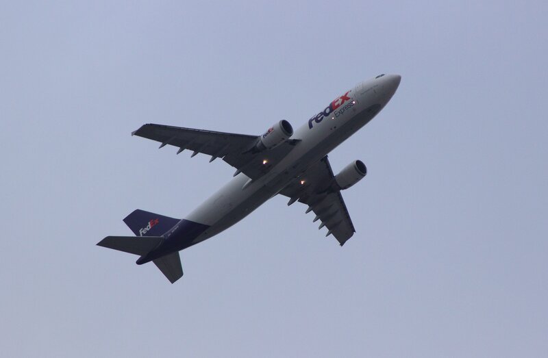 FedEx Cargo Airplane — Gray, Neutral
