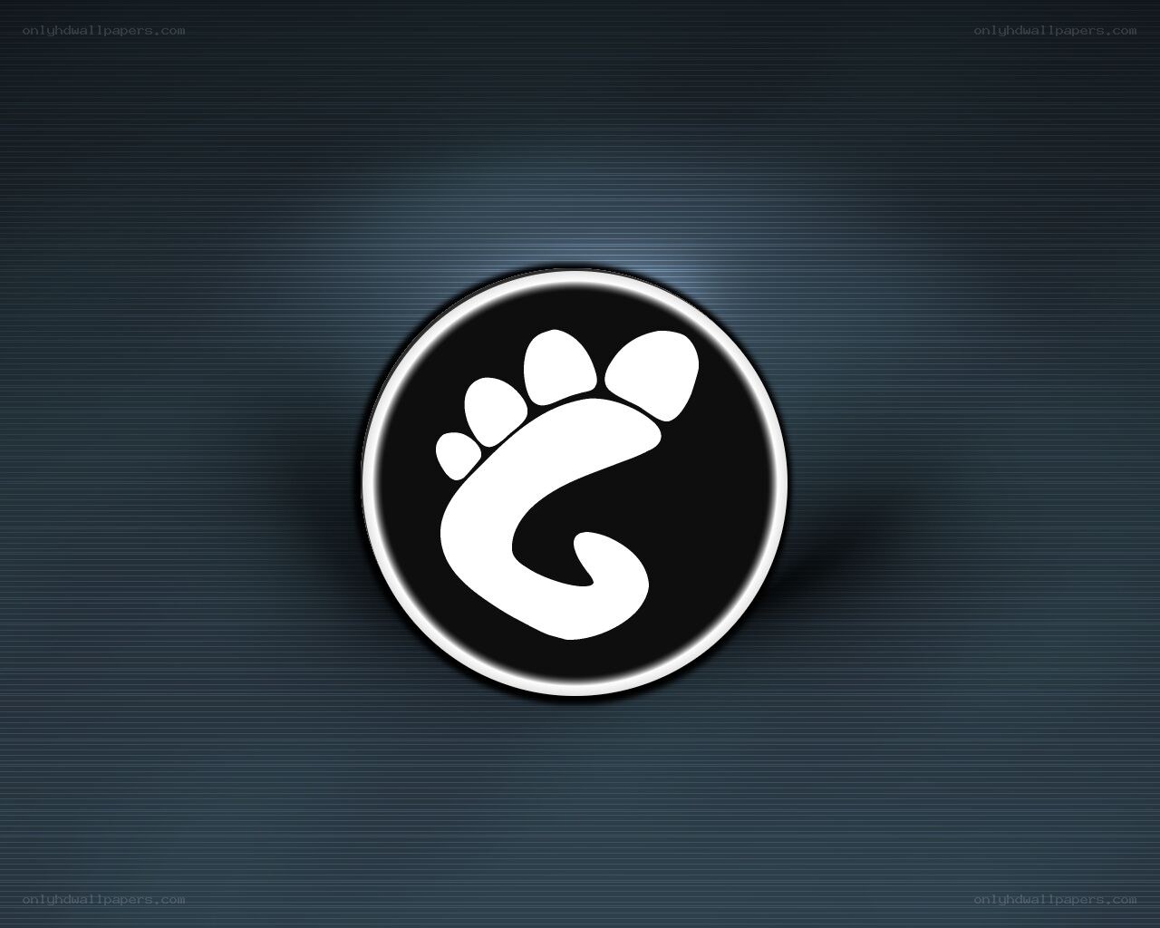Fedora Linux logo on dark background
