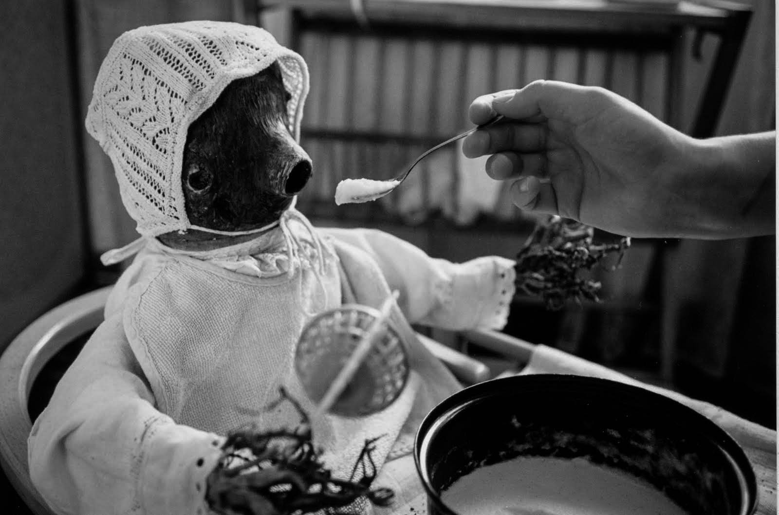 Feeding a bear in a bonnet