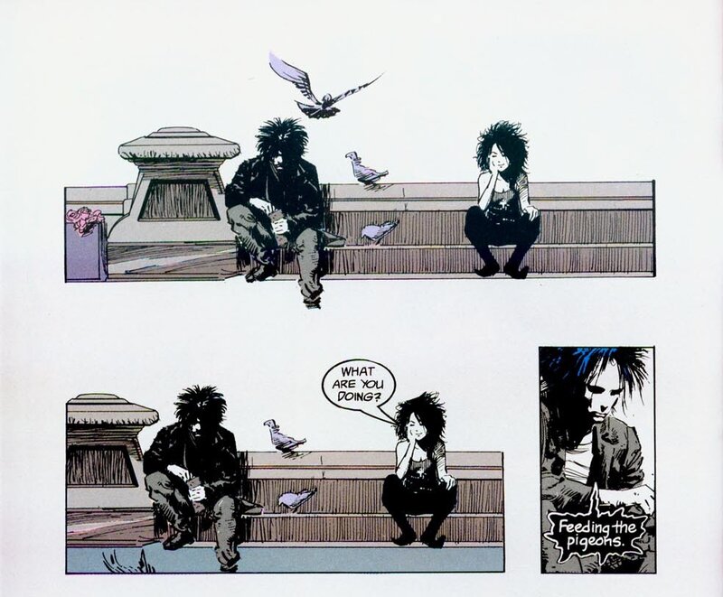 Feeding the pigeons