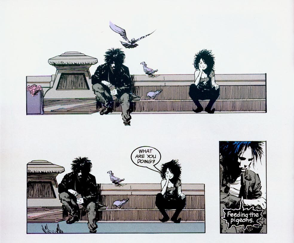 Feeding the pigeons