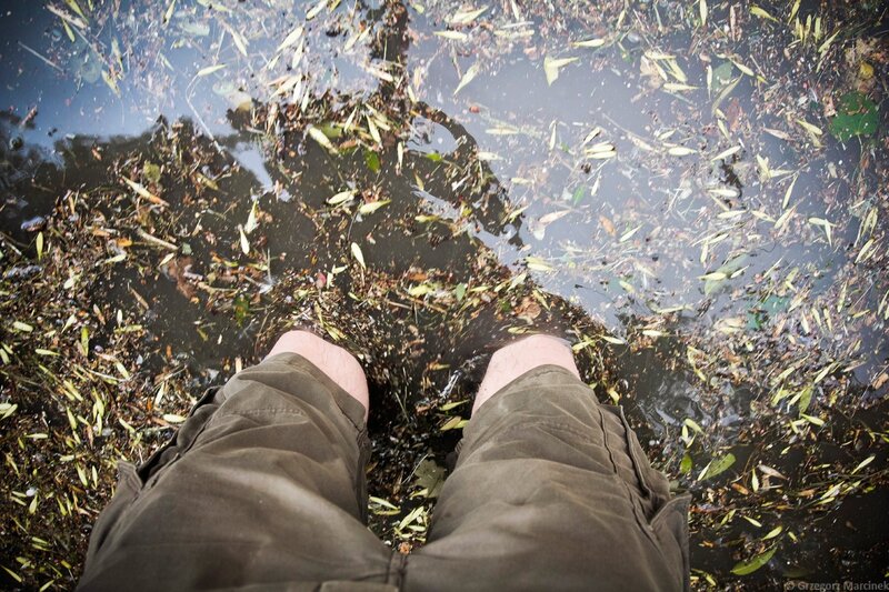 feet in a puddle of leaves