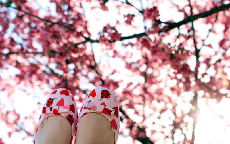 Feet in Ladybug Shoes