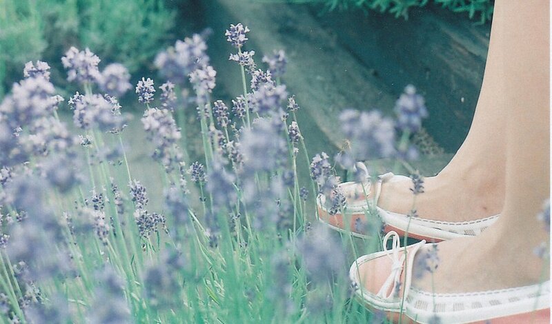 feet in lavender field