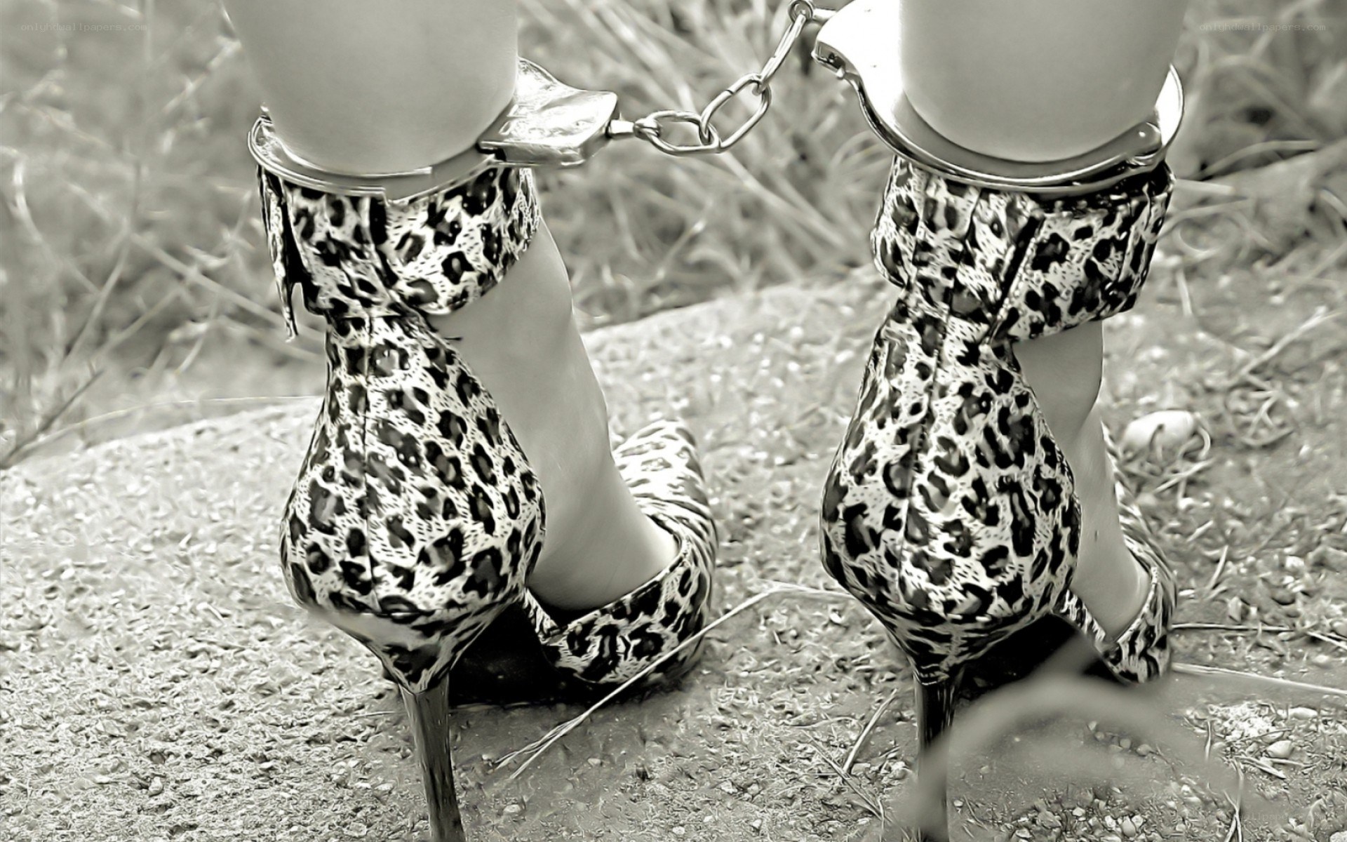 feet in leopard heels with cuffs