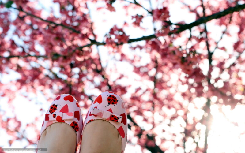 Feet in Patterned Shoes — Pink, Serene