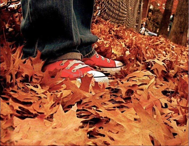 feet in red shoes on autumn leaves