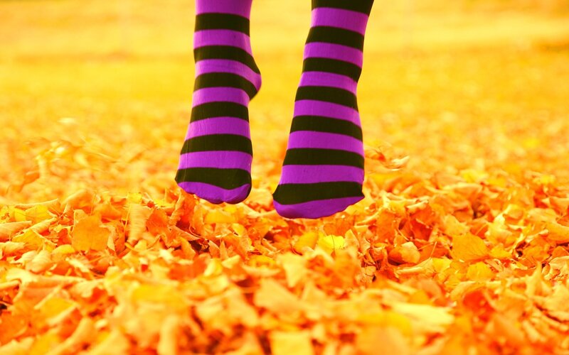 feet in striped socks on leaves