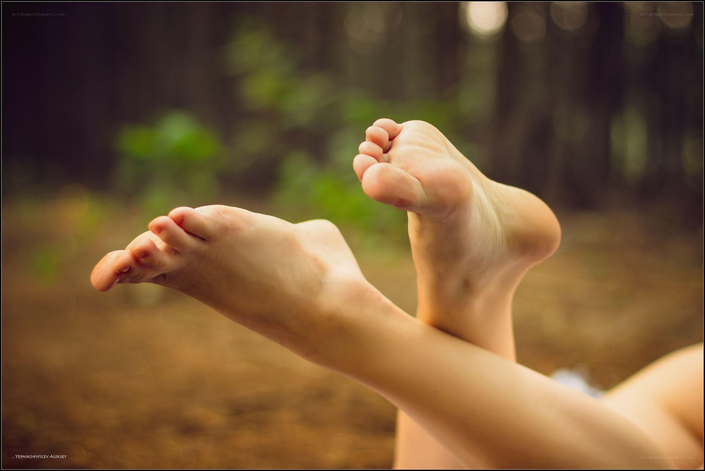 feet in the forest