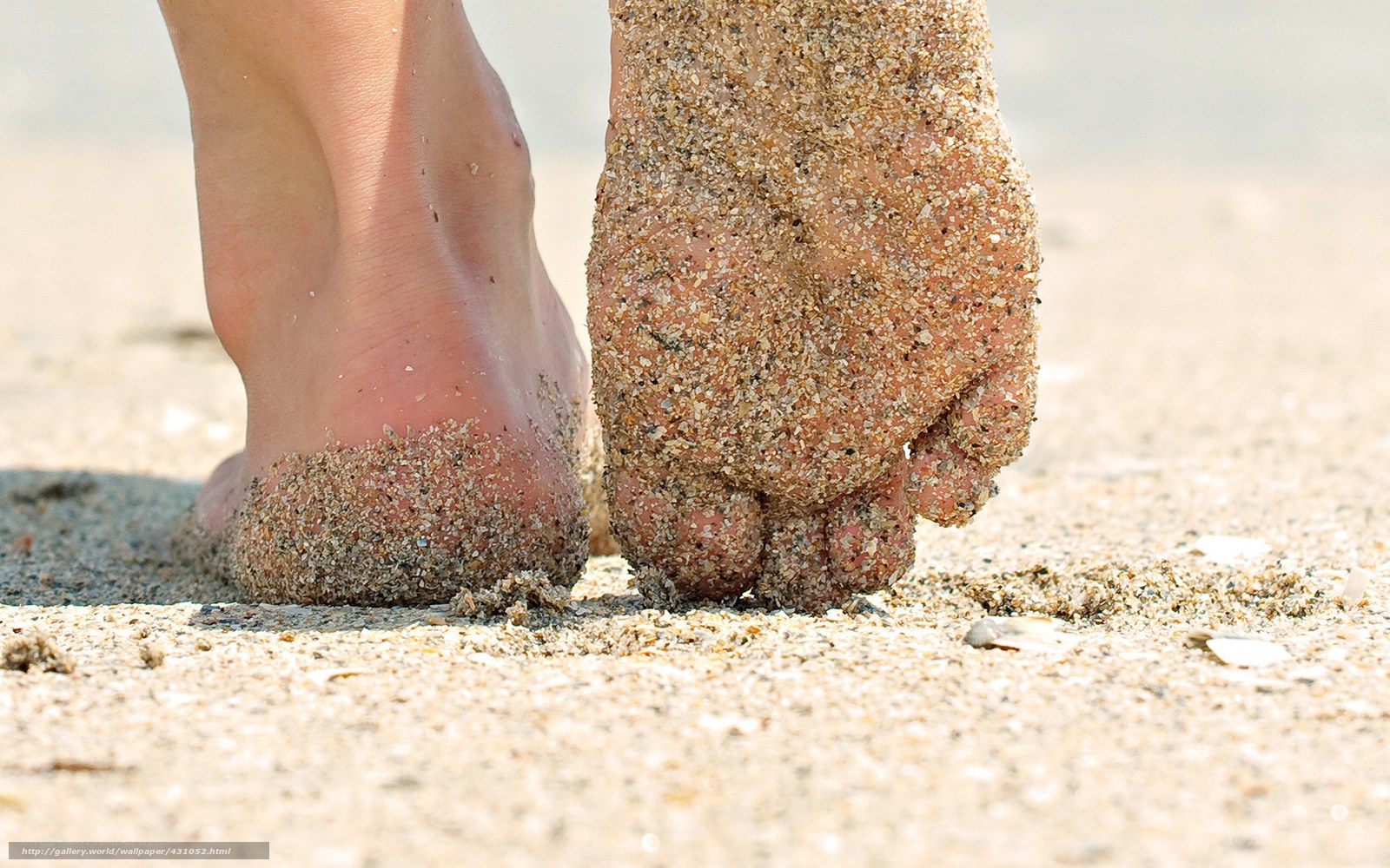 feet in the sand