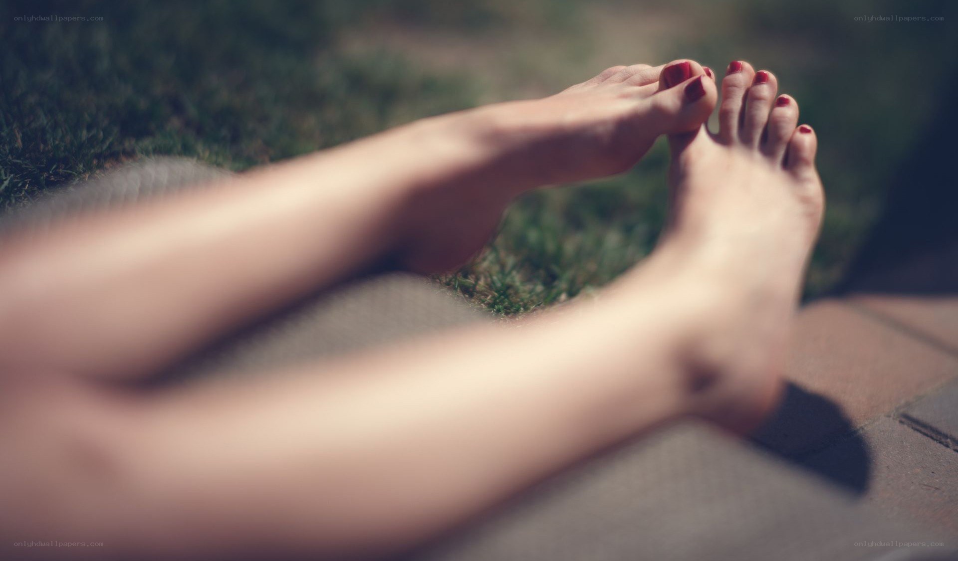 feet on grass in sunlight