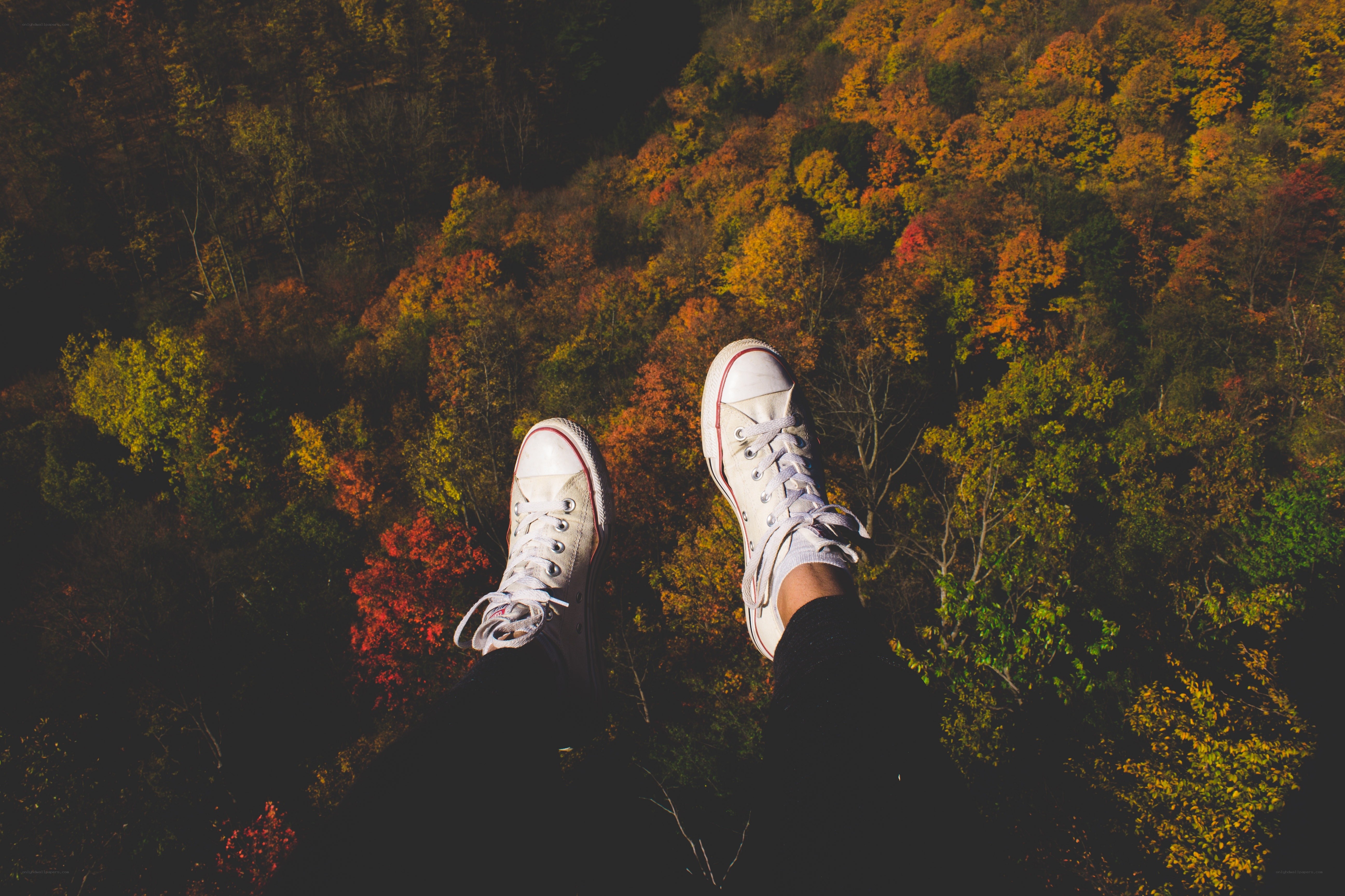 feet over autumn forest