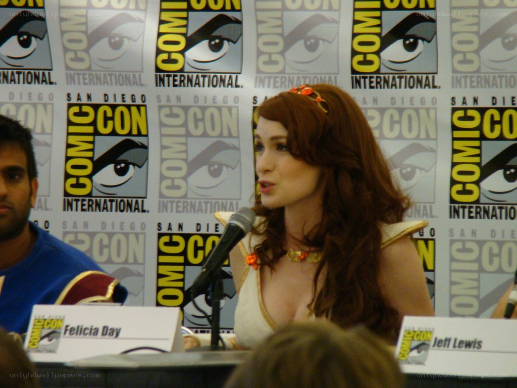 Felicia Day at Comic-Con panel