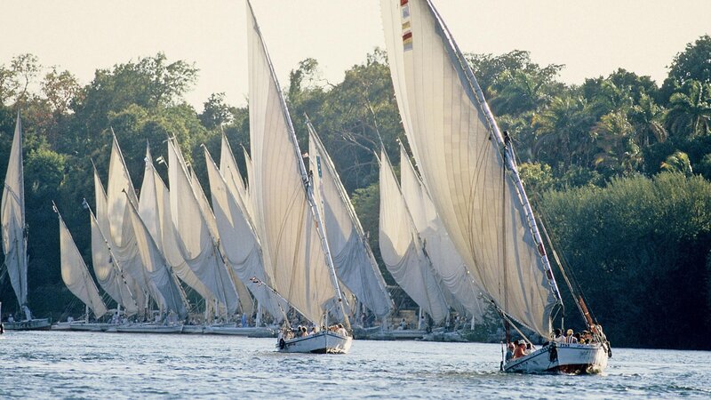 Felicity of sailboats on a river