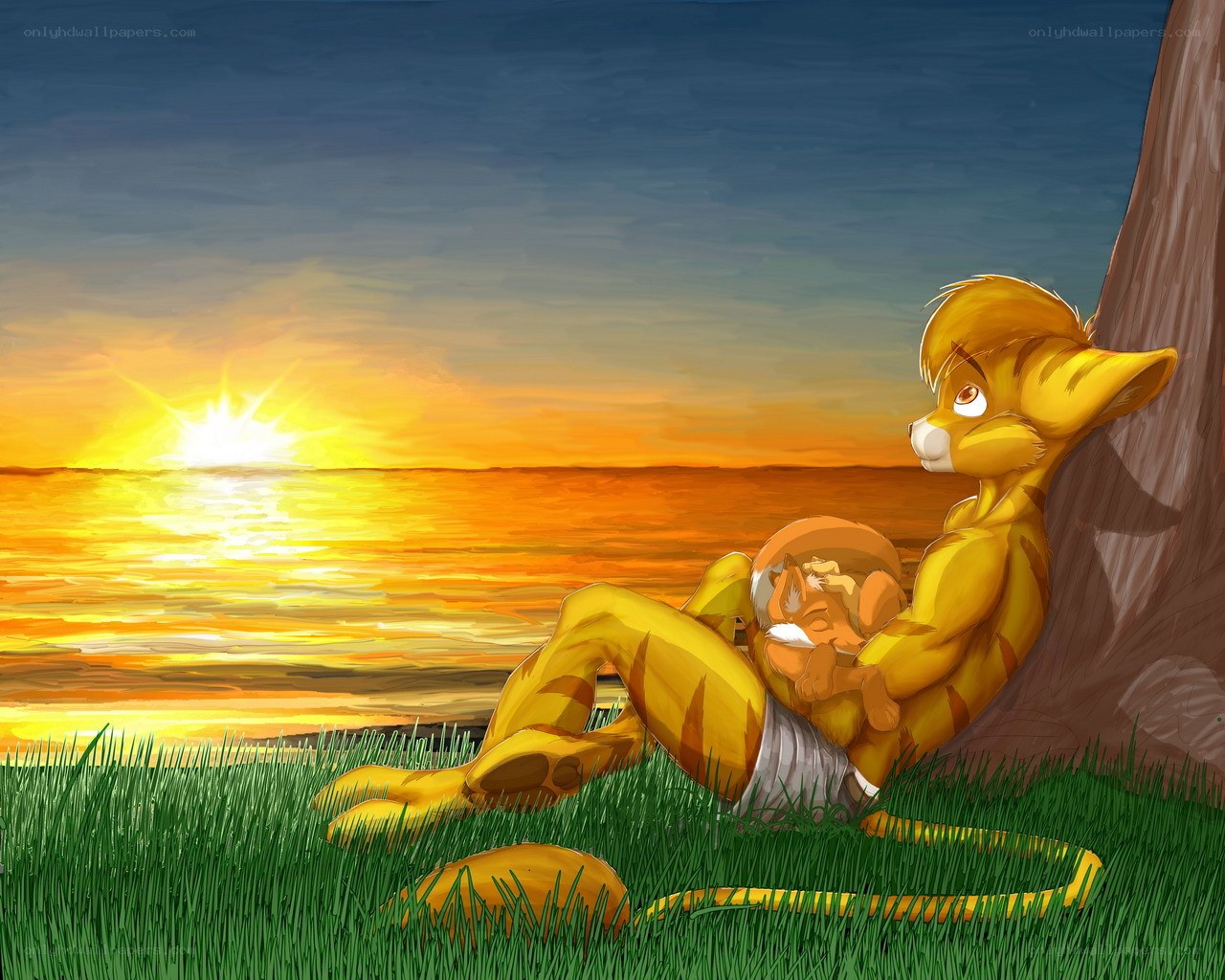 Feline duo at sunset