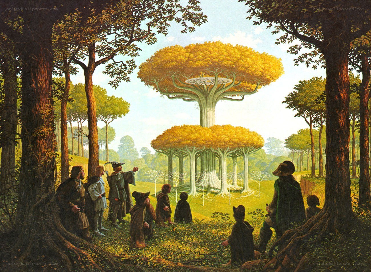 Fellowship views golden trees