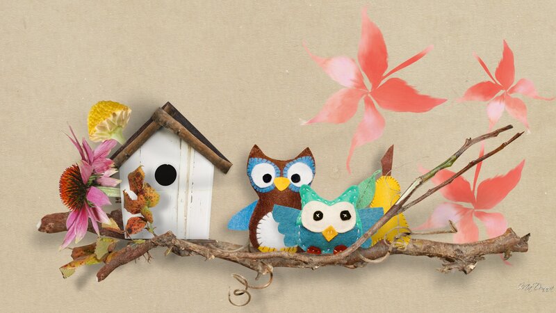 Felt Owls on Branch