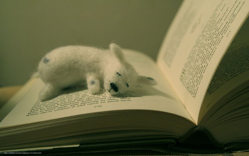 Felt toy on open book