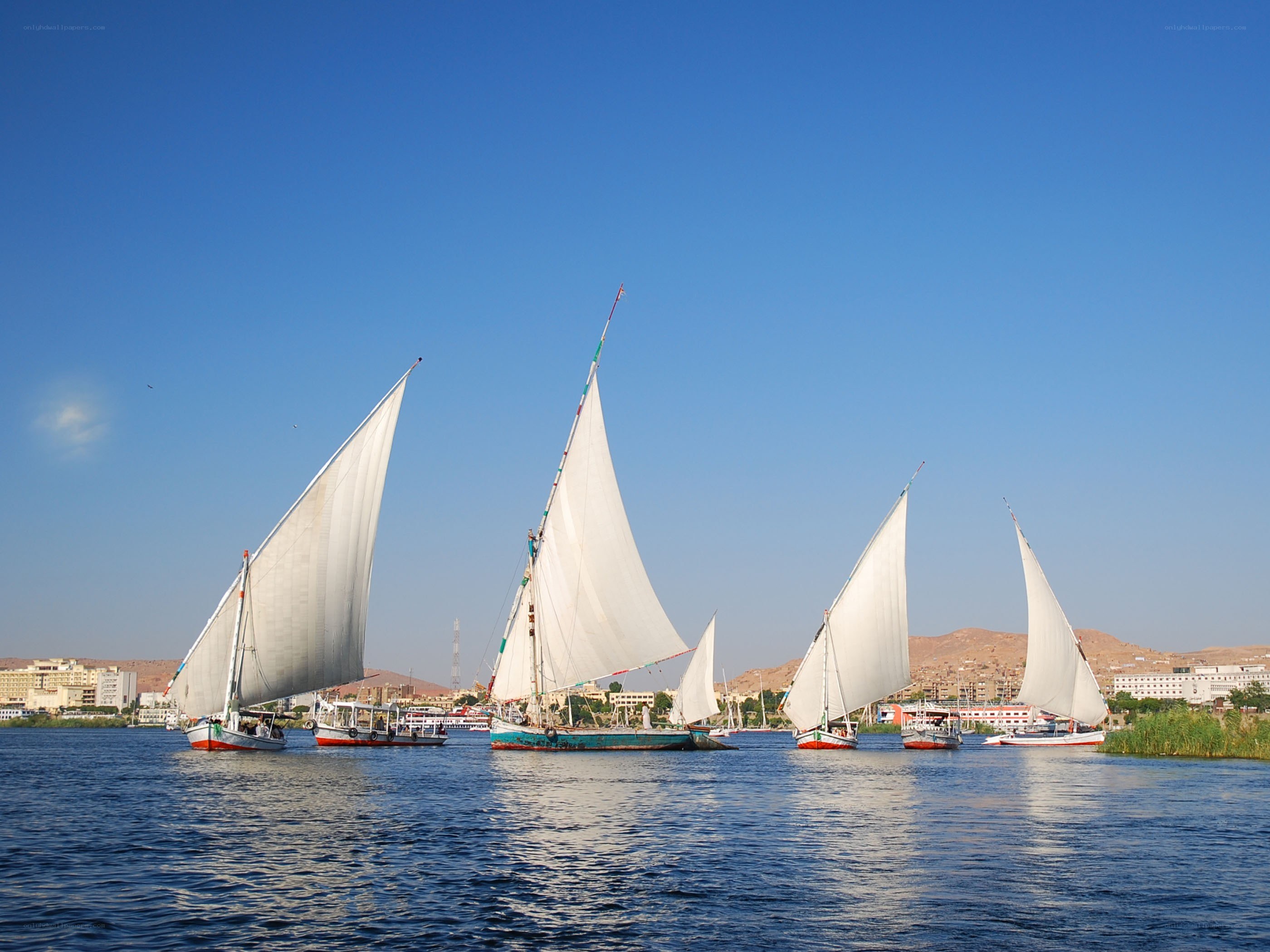 Feluccas on the Nile River