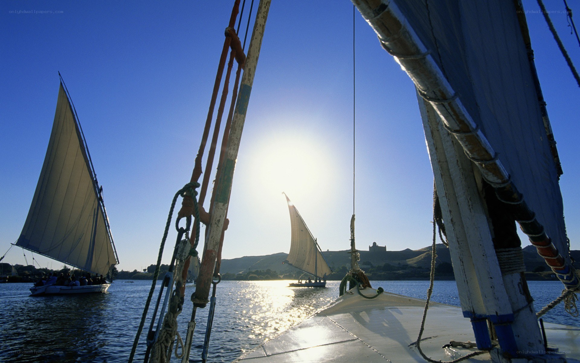 Feluccas on the Nile River