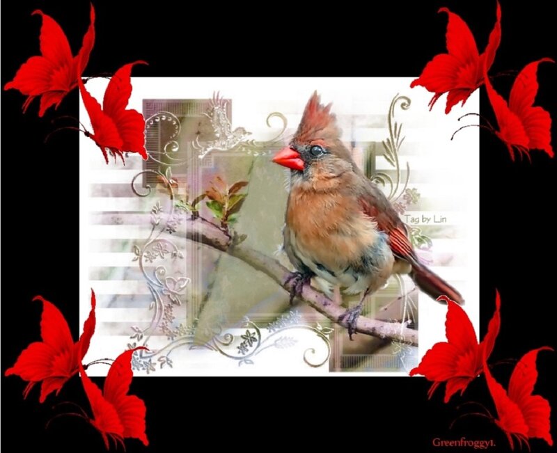 Female Cardinal Bird — Red, Decorative