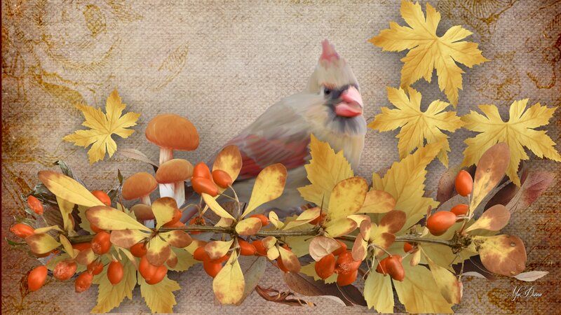 Female Cardinal Bird — Yellow