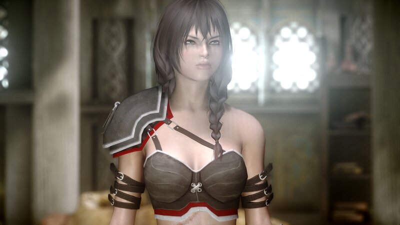 Female Character in Armor — Brown, Serious, 3d Render, Braided Hair, Shoulder Pad