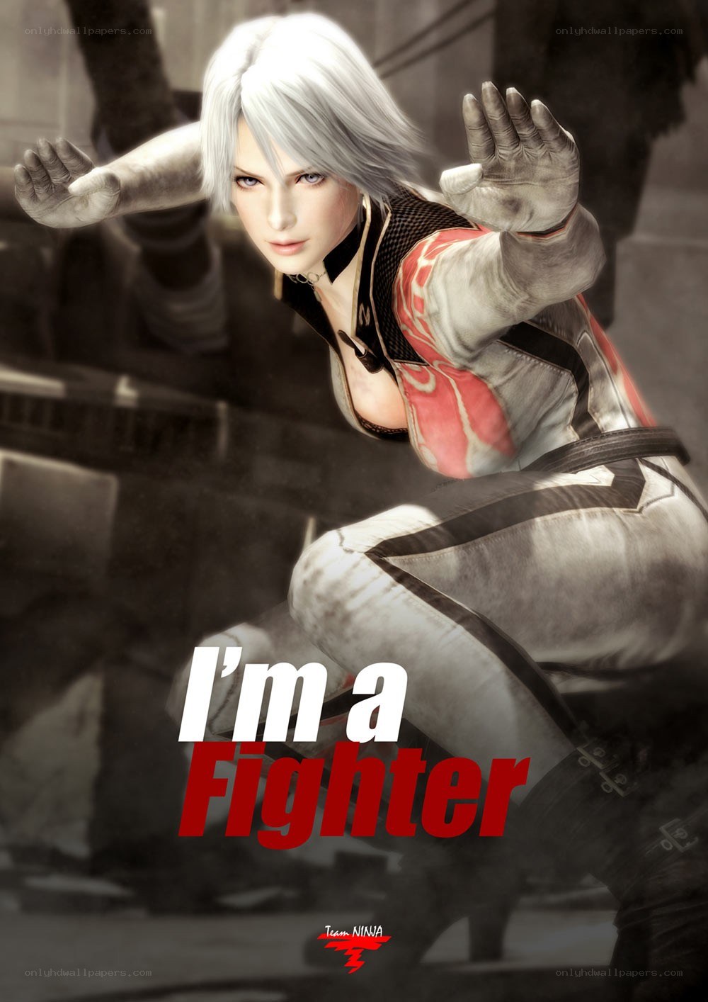 female fighter character art