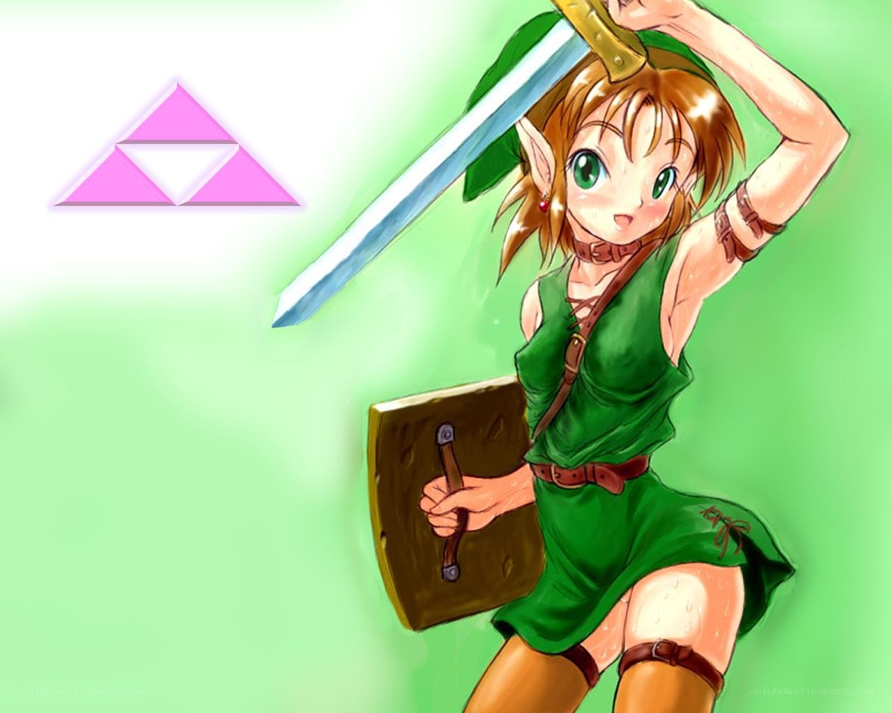 female link with sword and shield