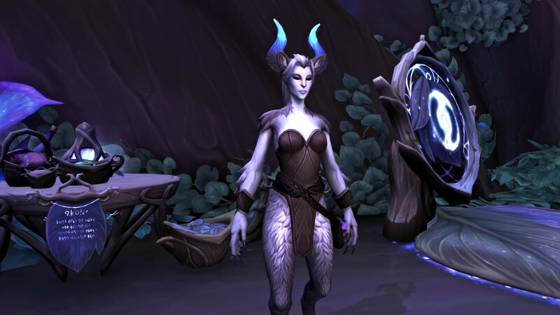 Female Night Elf Character