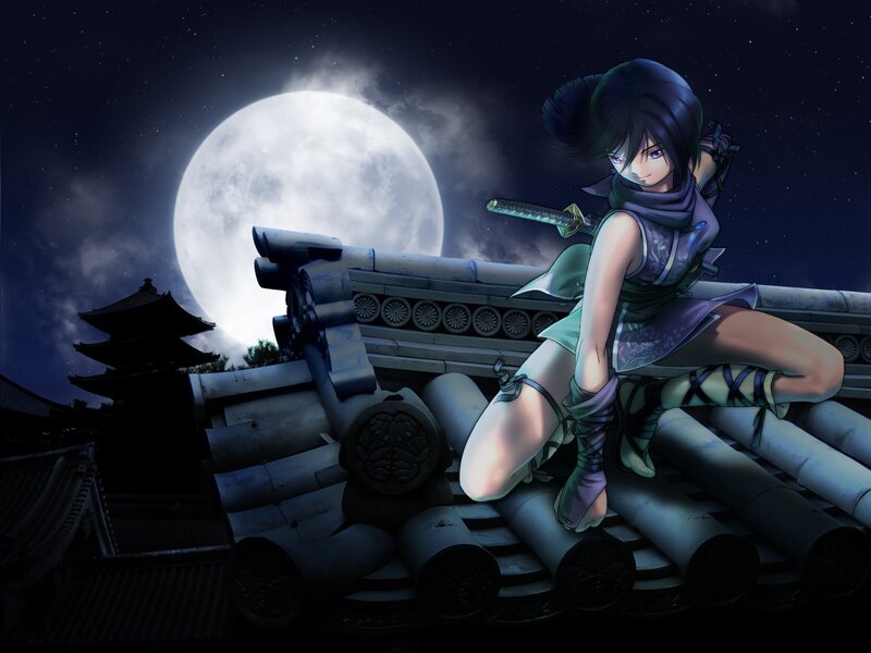 Female Ninja on Roof