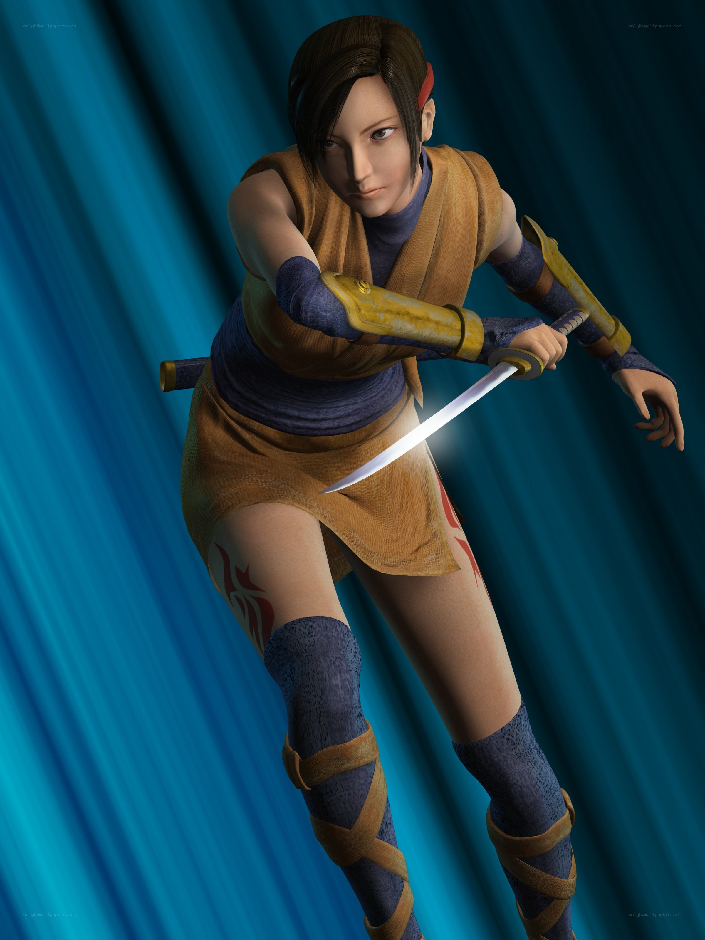 female ninja warrior character