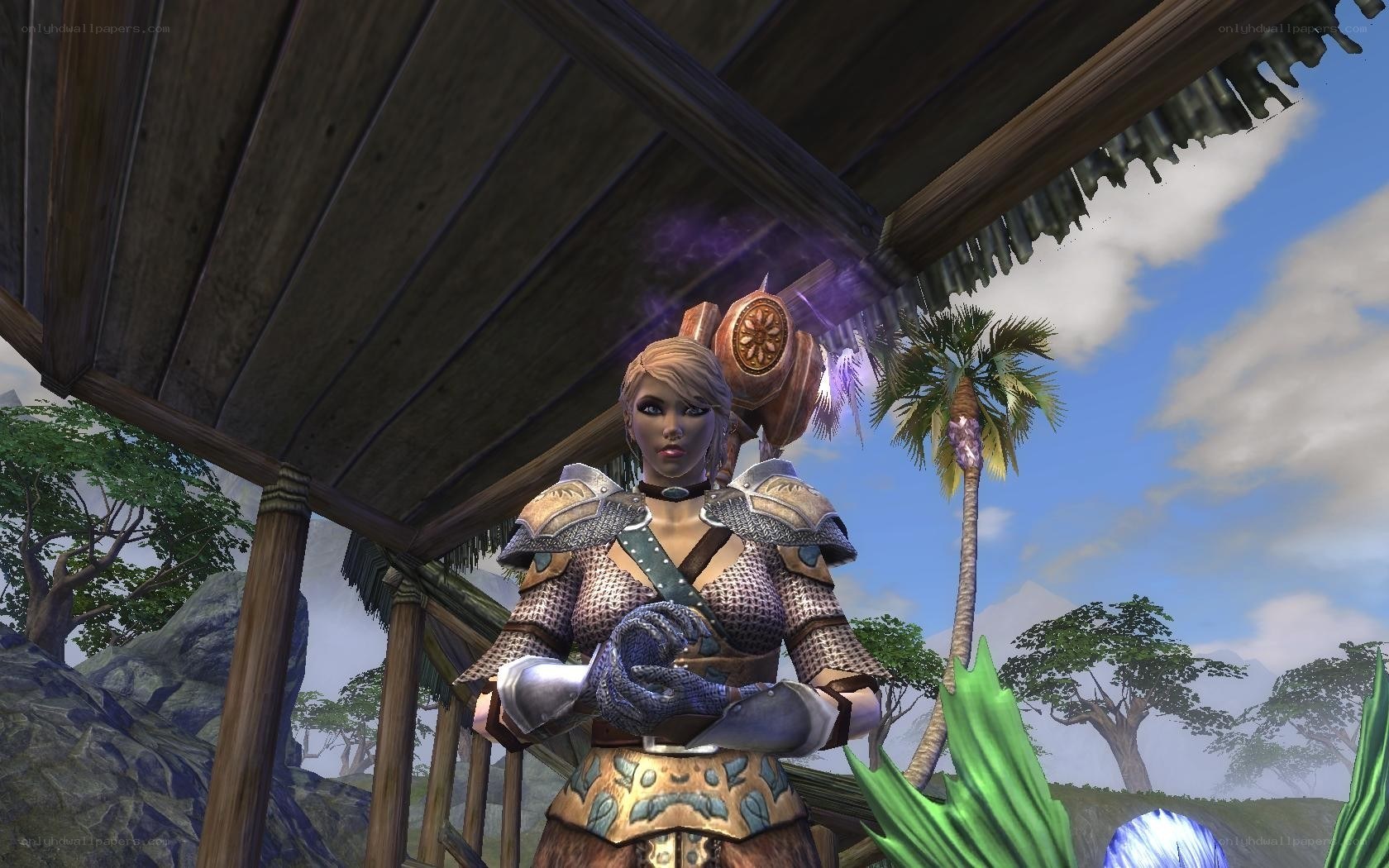 female warrior in armor