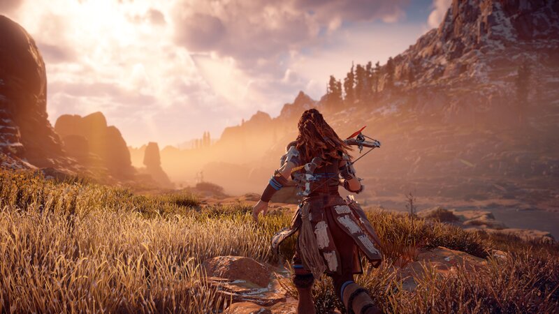 Female Warrior in Field — Brown, Dramatic