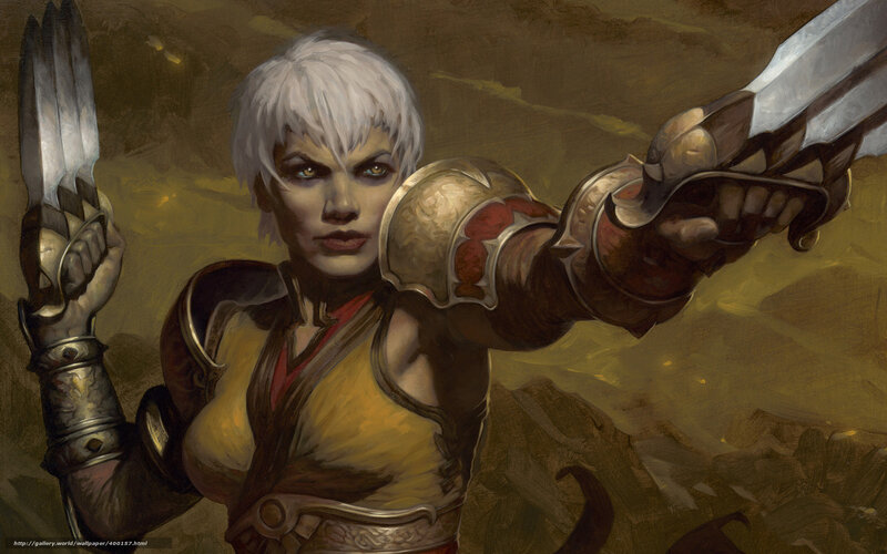 female warrior with dual blades