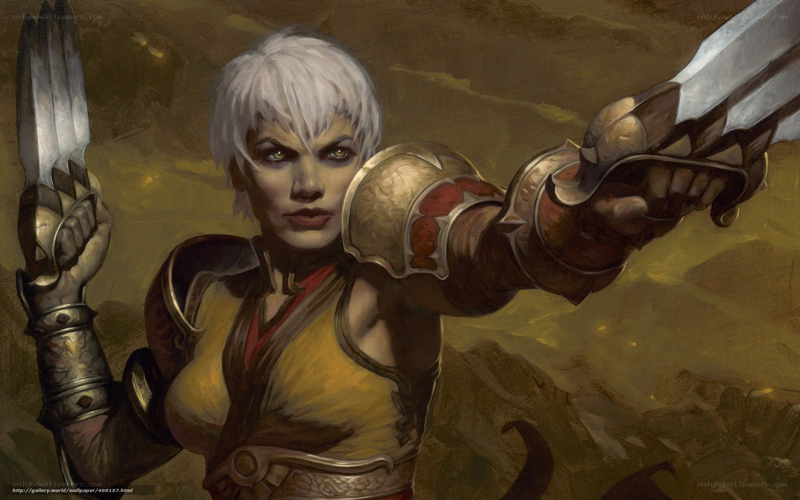 female warrior with dual blades