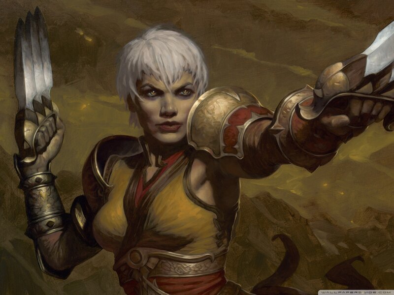 female warrior with dual blades